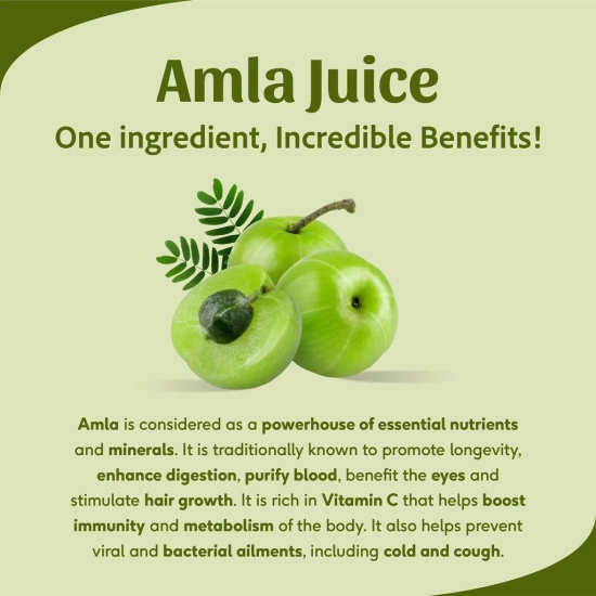 Sri Sri Tattva Amla Juice - Energise With Vitamin C | Rejuvenator, Immunity Builder, Antioxidant | No Added Sugar | 1L