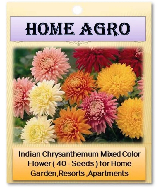 homeagro - Indian Chrysanthemum Mixed Flower ( 50 Seeds )