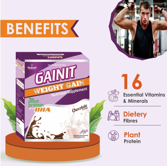 Gainit Weight Gain Powder | Plant protein | Sugar Free | Chocolate Flavour |100% vegetarian