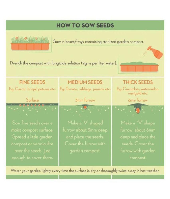 five veg combo (tomato,chiili,carrot,spinach,lady finger) 15 -15 seeds of each 1 oal 75 seeds combo with manual