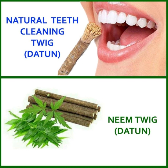 Natural Neem Chew Sticks/Tree Datun Twigs Organic Toothbrush