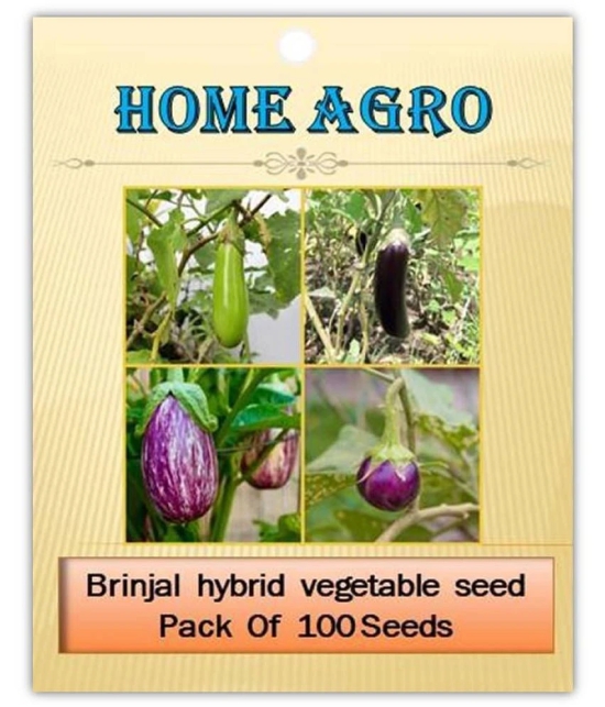 homeagro - Brinjal Vegetable ( 100 Seeds )