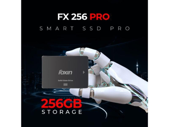 Foxin FX 256 GB PRO 2.5  Internal SATA SSD