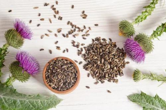 Milk Thistle Seeds for Boosting Immune System - 150 Grams (30 Servings)