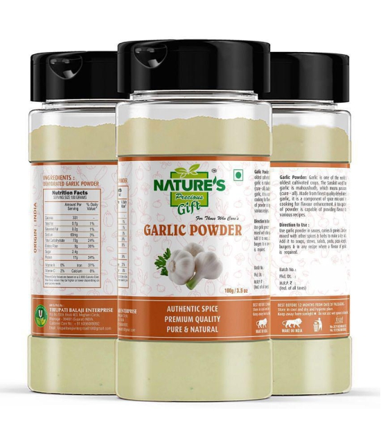 Natures Gift - 100 gm Ginger powder (Pack of 4)