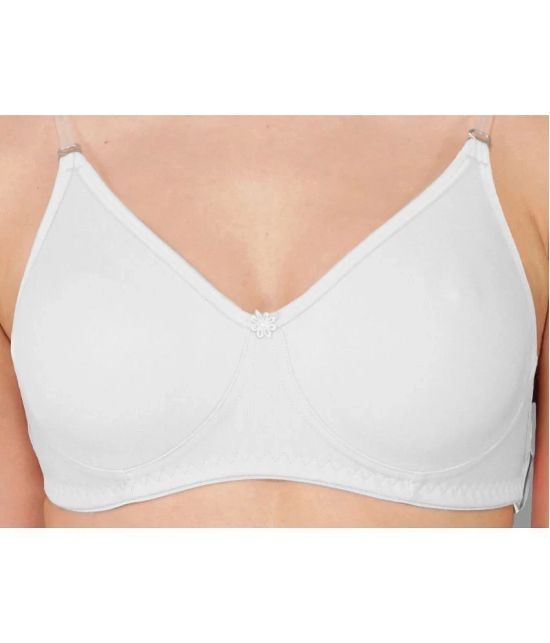 Madam - White Cotton Blend Lightly Padded Womens T-Shirt Bra ( Pack of 1 ) - None