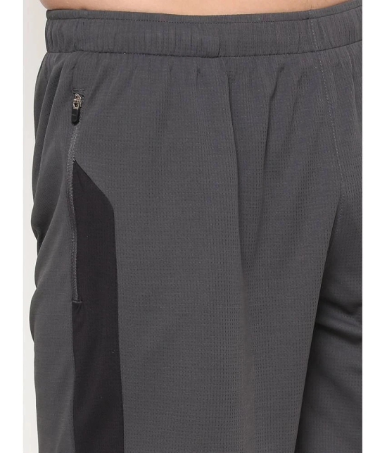 Dida - Dark Grey Polyester Mens Outdoor & Adventure Shorts ( Pack of 1 ) - None