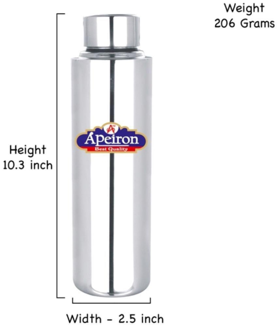 APEIRON - Silver Fridge Water Bottle ( Pack of 1 ) - Silver