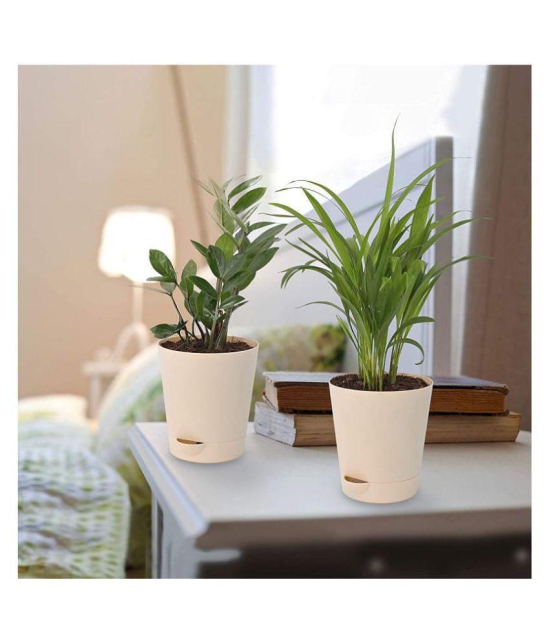 Ugaoo Air Purifier Indoor Plants for Home with Pots- Areca Palm & ZZ Plant