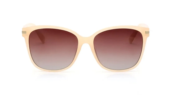 Brown Wayfarer Sunglasses for Women