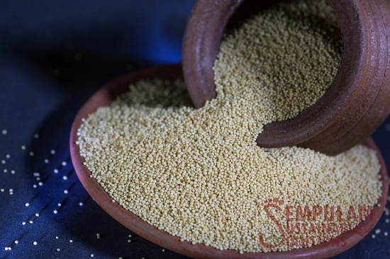 Amaranth Seeds - 500 Gms