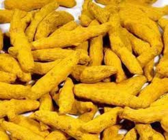 HALDI