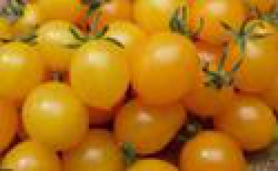 Yellow Cherry Tomato 250 Gms