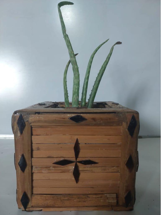 Bamboo Planter Pot