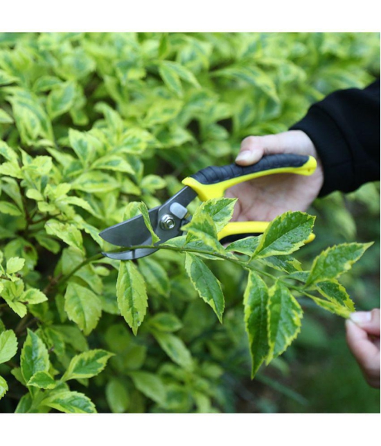 Multi-Purpose Gardening Tree Flower Pruning Shear Leaf Scissor Cutter