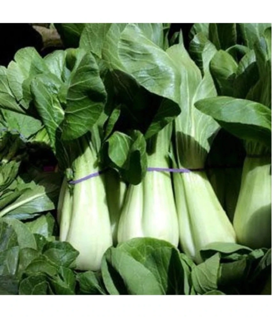 Jignisha Seeds Cabbage Vegetable ( 100 Seeds )