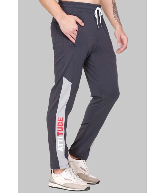 LEEBONEE Charcoal Polyester Mens Trackpants ( Pack of 1 ) - None