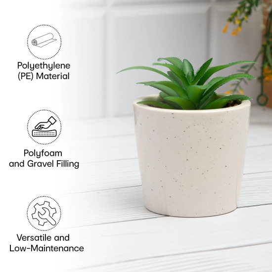 Anko Succulent in Pot Set of 2 - Indoor Planter for Home, Office, Garden, Balcony. Elegant Artificial Plants in Ceramic Pots, Two Sizes.-Anko Succulent in Pot Set of 2 | Indoor Planter for Home,