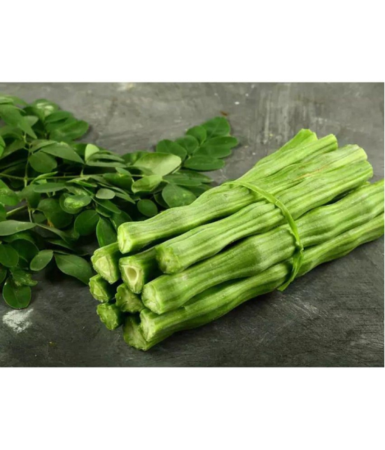 CLASSIC GREEN EARTH - Drumstick Vegetable ( 15 Seeds )