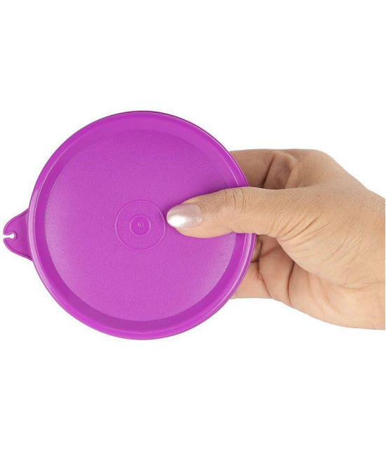 Oliveware Steel Blue Food Container ( Set of 2 ) - Purple