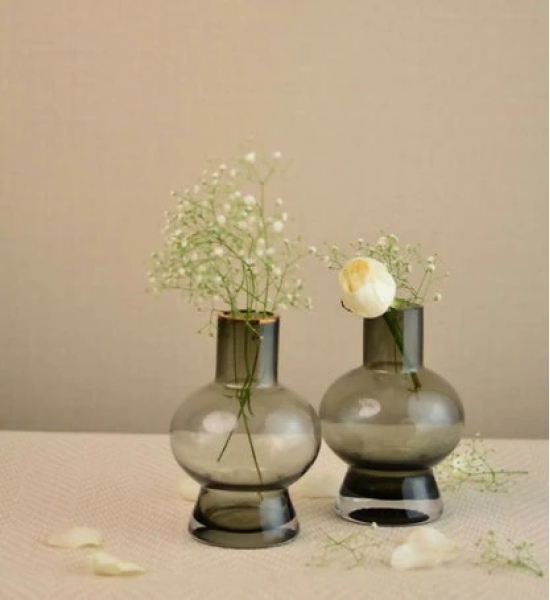 Euphoria Small Glass Vases: Set of 2