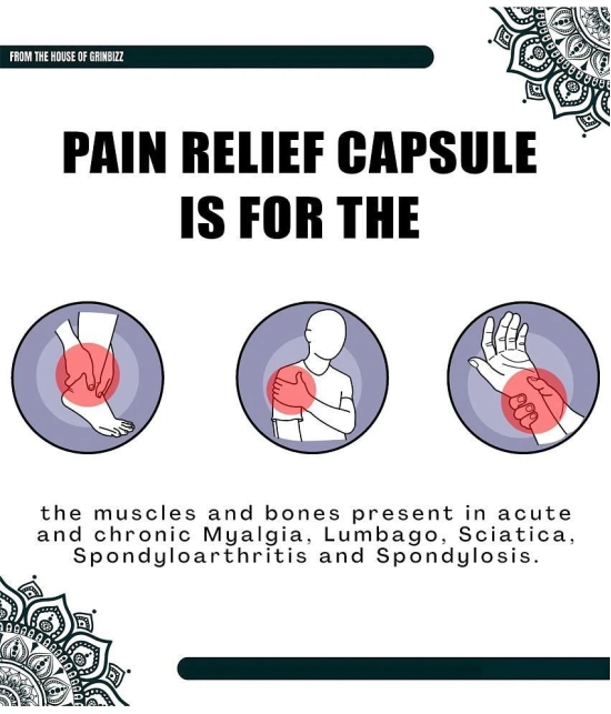 Grinbizz Pain Relief Capsules ( Pack of 1 )