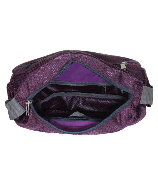 Apnav Purple Polyester Casual Messenger Bag