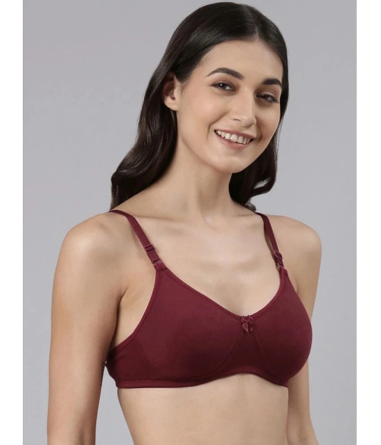 Dollar Missy Multicolor Cotton Lightly Padded Womens T-Shirt Bra ( Pack of 3 ) - None