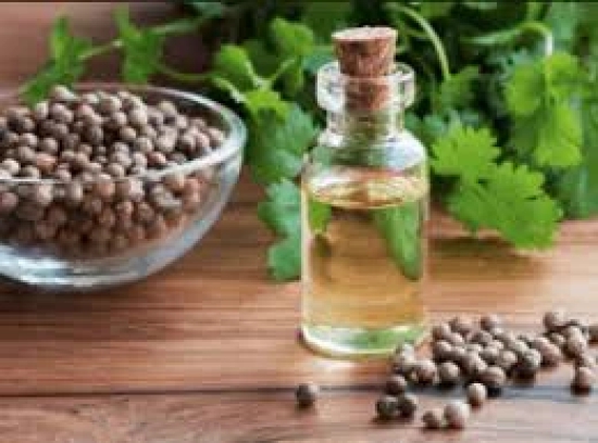 Oil Essential Coriander (100% Natural)-100ML / Pure