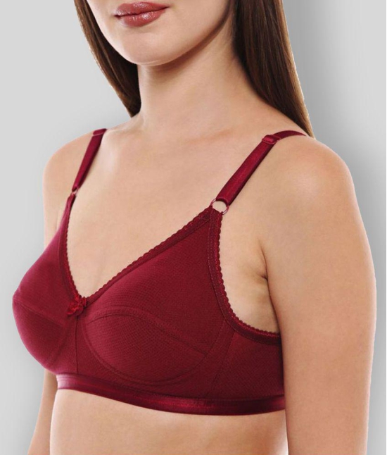 Bodycare Cotton Seamless Bra - Maroon - 34