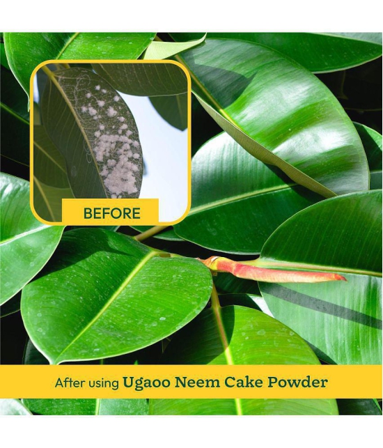 UGAOO Fertilizer ( ) For Indoor and Outdoor Plant