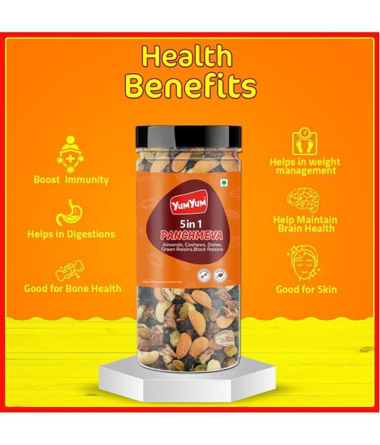 Yum Yum Panchmeva 250g Mixed Dry Fruits, Healthy Trail Mix