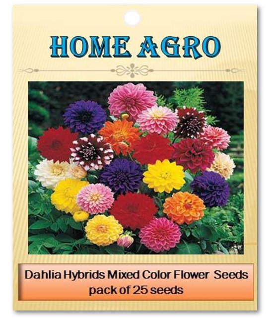 homeagro - Dahlia Mixed Flower ( 25 Seeds )