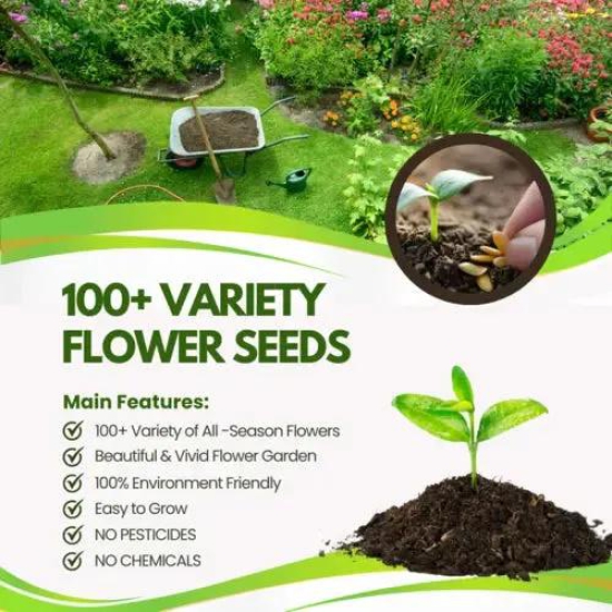 Multiple Variety Of Flower Seeds-Pack of 300 Seeds @ 799?