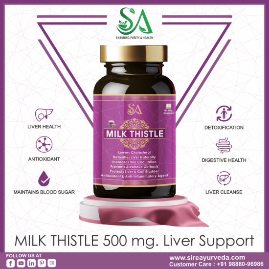 MILK THISTLE (Healthy Liver, Boost Metabolism And Maintain Cholesterol level)