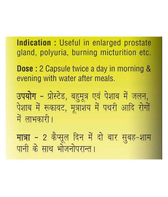 Baidyanath Prostaid Capsule (120 Capsules)