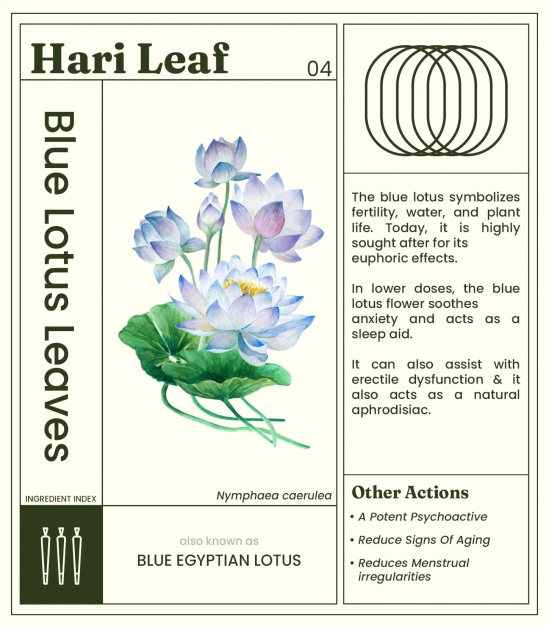 Hari Leaf Calm Blend - Blueberry