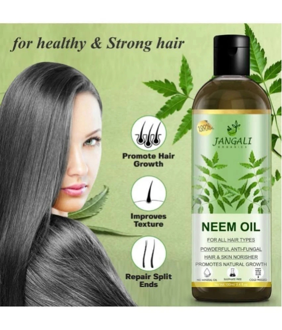 Pure Jangali Organics Anti Dandruff Neem Oil 100 ml ( Pack of 1 )