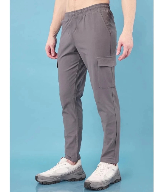 PPTHEFASHIONHUB Grey Lycra Mens Trackpants ( Pack of 1 ) - None