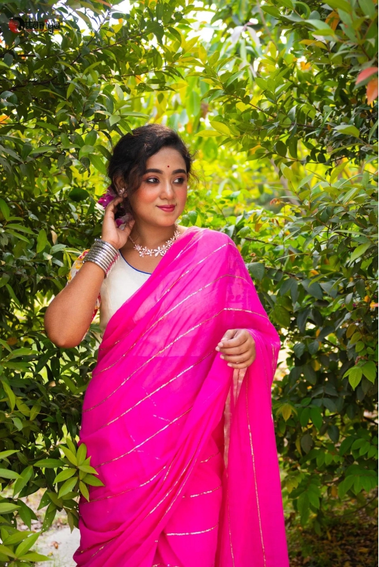 Gulal Saree