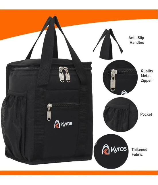 Kyros Black Polyester Lunch Bag Pack of 1 - Black