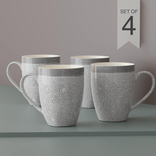 The Earth Store Grey Fizz Coffee Mug Set of 4 Ceramic Mugs to Gift to Best Friend, Tea Mugs, Microwave Safe Coffee Mugs, Ceramic Tea Cups