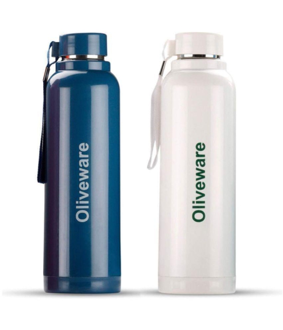 Oliveware Multicolor Steel Flask ( 700 ml ) - Multicolor