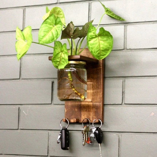 Wall Key Holder-With Planter Jar