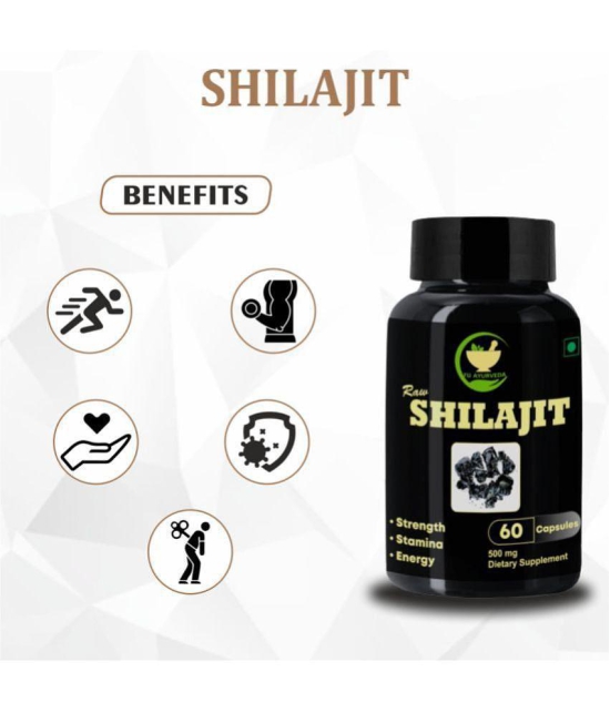 FIJ AYURVEDA Raw Shilajit Capsule for Stamina and Power, 60 Capsules Each (Pack of 2)