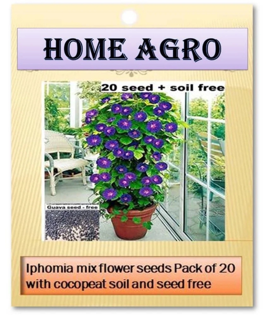 homeagro - Flower Seeds ( 20 )