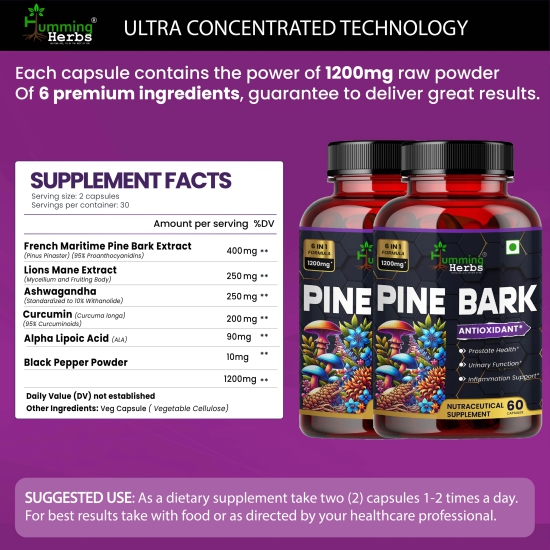 Humming Herbs Pine Bark Extract Capsules 1200mg - Potent Antioxidant for Prostate Health, Urinary Function, and Inflammatory Support - With Lions Mane, Turmeric, Alpha Lipoic Acid - Pack of 2