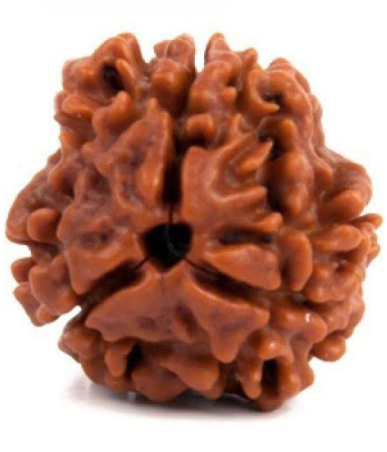 DvR ClicK - 3 Mukhi Rudraksha Bead ( Pack of 1 )