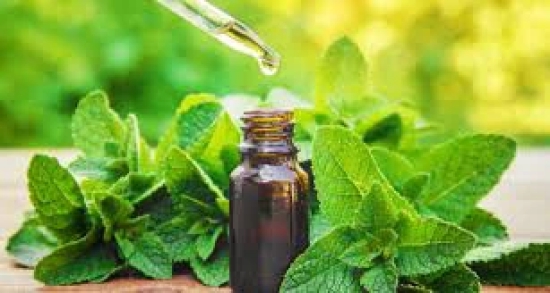 Oil Essential Spearmint /Oil Mint  (100% Natural)-100ML / Pure