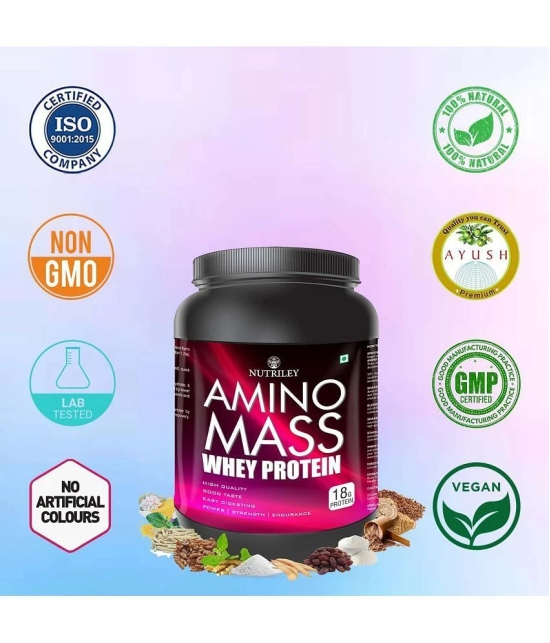 Nutriley Amino Mass Whey Protein ( 500 gm , Banana - Flavour )